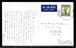 H311 - AUSTRALIE - CARTE POSTALE DE SYDNEY POUR MULHOUSE - Briefe U. Dokumente