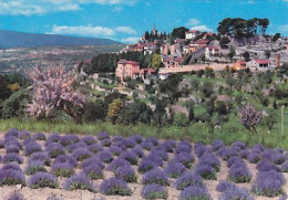 AK 211740 FRANCE - Provence - Provence-Alpes-Côte D'Azur