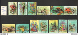 1987 Barbuda - Yvert Et Tellier N. 893-905 - Serie Ordinaria - Fauna Marina - 13 Valori - MNH** - Altri & Non Classificati