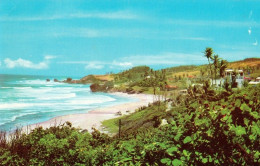 1 AK Barbados * Bathsheba Coast, Bathsheba Liegt Im Parish Saint Joseph An Der Ostküste Von Barbados * - Barbados (Barbuda)