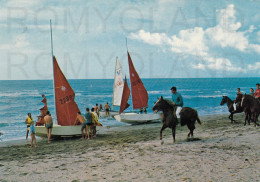 CARTOLINA  C14 DONORATICO,LIVORNO,TOSCANA-CLUB MEDITERRANEE-STORIA.MEMORIA,CULTURA,RELIGIONE,BELLA ITALIA,VIAGGIATA 1969 - Livorno