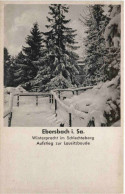 Ebersbach In Sachsen - Ebersbach (Loebau/Zittau)
