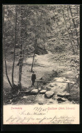 AK Buckow I. Märk. Schweiz, Poetensteig Mit Waldpartie  - Buckow