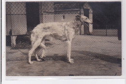 St-CYPRIEN : Carte Photo Chenil Du Domaine Des Capeillans Dressage Chiens Domaine Des Capeillans - Très Bon état - Saint Cyprien