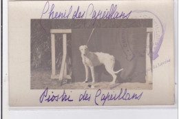 St-CYPRIEN : Carte Photo Chenil Du Domaine Des Capeillans Dressage Chiens Domaine Des Capeillans - Très Bon état - Saint Cyprien