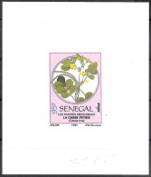 Senegal/Sénégal: Prova, Proof, épreuve,  Cassia Tora - Plantes Médicinales