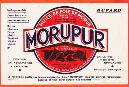 06257 / Huile Foie Morue MORUPUR Pour Bestiaux Volailles Armateurs Producteurs BORDEAUX- BASSENS  Buvard-Blotter - Animals