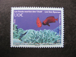 TAAF:  TB N° 1005, Neuf XX. - Unused Stamps