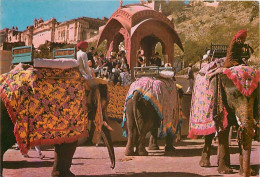 Animaux - Eléphants - Inde - India - Elephants Below Amber Fort - Voir Timbre - CPM - Voir Scans Recto-Verso - Éléphants