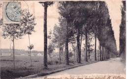 77 - Seine Et Marne -  BRAY Sur SEINE - La Route De Provins - Bray Sur Seine