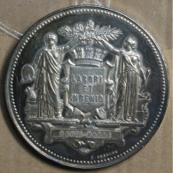 Médaille Argent "Société Artistique De La Haute Marne" Attribué à Pétua 1893 (22), Lartdesgents.fr - Royaux / De Noblesse