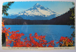 ETATS-UNIS - OREGON - Mount Hood And Lost Lake - Otros & Sin Clasificación
