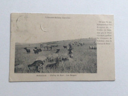 Carte Postale Ancienne (1909) Bethléem Champ De Booz - Les Bergers - Collection Mulsant Chevalier - Palestine