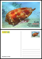 MALI 2022 STATIONERY CARD - POST- COVID-19 RECOVERY PLAN - SHELLS SHELL COQUILLAGE COQUILLAGES - RARE - Conchiglie