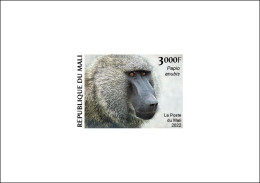 MALI 2022 DELUXE PROOF - POST- COVID-19 RECOVERY PLAN - APES APE MONKEYS MONKEY SINGES SINGE BABOON BABOONS - RARE - Monkeys