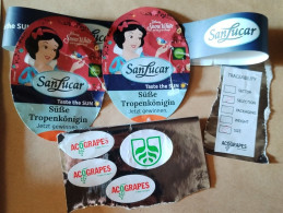 FRUITS LABELS-SNOW WHITE,DISNEY,SUN LUCAR PINNAPPLE,GRAPPES - Fruits Et Légumes