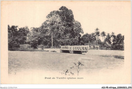 AICP5-AFRIQUE-0547 - Pont De TUMBO - Sonstige & Ohne Zuordnung