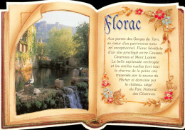 CPM-48- FLORAC "Source Du Pêcher Et Le Château" TBE - Cf. Scans " - Florac