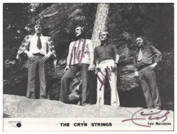 V6268/ The Cry`n Strings Beat- Popband Autogramm Autogrammkarte 70er Jahre - Handtekening