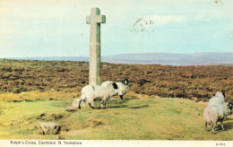 ROYAUME-UNI - Ralph's Cross - Castleton - N Yorkshire - Brebis - Carte Postale - Sonstige & Ohne Zuordnung