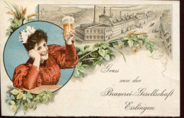 X0579 Germany 2 Pf Postcard Privat Stadtpost Stuttgart 1895 Gruss Von Der Brauerei Ges. Esslingen, Biere Bier Beer - Interi Postali