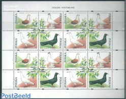 Poland 1994 Pigeons M/s, Mint NH, Nature - Birds - Pigeons - Neufs