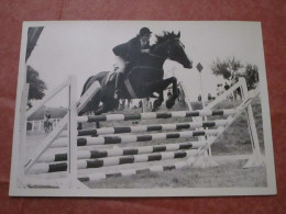 Concours Hippique De St-Aubin - Saut D'obstacle - Reiten