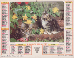 Calendrier France 1984 Jeune Chien Jeunes Chats - Formato Grande : 1981-90