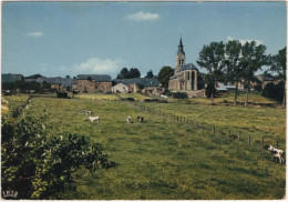 Hatrival - Eglise Saint-Ursmer - Saint-Hubert