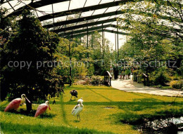 72652000 Walsrode Lueneburger Heide Vogelpark Freiflughalle Walsrode - Walsrode