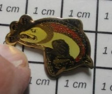 912B Pin's Pins / Beau Et Rare / ANIMAUX / POISSON SAUMON PECHE PCB Ou BCP - Animals