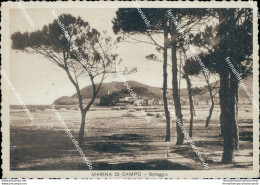 Bo594 Cartolina Saluti Da Marina Di Campo Spiaggia Provincia Di Livorno - Livorno