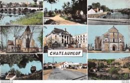 C. 9 - 71 - CHATEAUNEUF En 1965 (Charente)  A. GILBERT - Jarnac - Chateauneuf Sur Charente