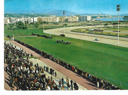 Hippisme à CAGNES SUR MER (06) - L'hippodrome De La Côte D'Azur  (pendant Une Course Et Public Au Bord Dere La Piste) - Horse Show