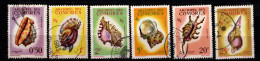 - COMORES - 1962 - YT N° 19 / 24 - Oblitérés - Coquillages - Série Complète - Gebruikt