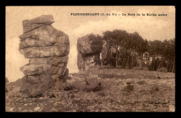 22 - PLOUGRESCANT - LE BOIS DE LA ROCHE NOIRE - Plougrescant