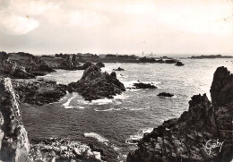 29-OUESSANT-N°4214-C/0179 - Ouessant