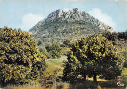 26-BUIS LES BARONNIES-N°4216-A/0241 - Buis-les-Baronnies