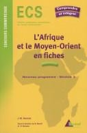 L'Afrique Et Le Moyen-Orient En Fiches (2005) De Jean-Michel Henriet - Geographie