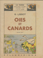 Oies Et Canards (1946) De G Lissot - Dieren