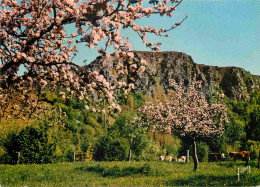 14 - Clécy - Vallée De L'Orne - La Suisse Normande - CPM - Carte Neuve - Voir Scans Recto-Verso - Clécy