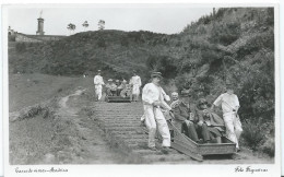 BARRO DE VIMES - MADEIRA - - Madeira