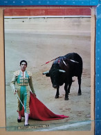 KOV 506-57 - BULL, TAUREAU, CORRIDA DE TOROS, MATADOR - Stiere