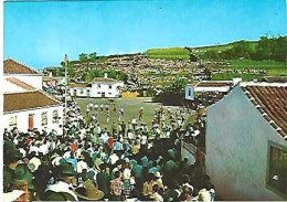 Portugal ** & Postal, Açores, Ilha Terceira, Rope Bullfight In S. Sebastião, Ed. Ormonde (20) - Stiere