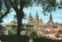 ESPAGNE - Santiago De Compostela - La Catedral Desde El Paseo De La Herradura - Carte Postale - Santiago De Compostela