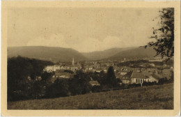 CPA Niederbronn-les-Bains, Bad Niederbronn - Vue Générale, Gelaufen 1941 Mit Deutscher Elsaß-Briefmarke - Niederbronn Les Bains