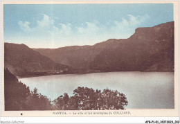 AFBP1-01-0007 - NANTUA - La Ville Et Les Montagnes De Colliard - Nantua