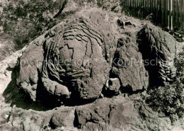 72633801 Graefenwarth Steinrose Natur Handabzug Graefenwarth - Schleiz