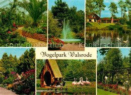 72628705 Walsrode Lueneburger Heide Vogelpark Flamingos  Walsrode - Walsrode