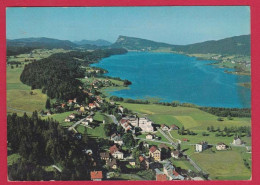 AE490  SUISSE LE SENTIER..LAC DE JOUX ET DENT DE VAULION  - - Vaulion